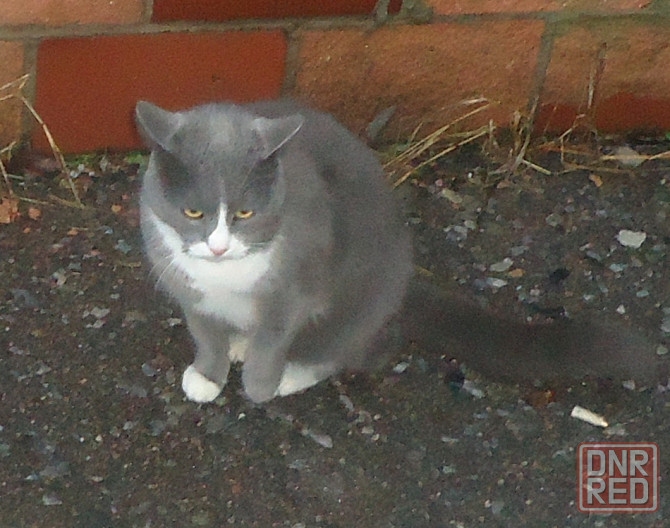 You've, been, #thunderstrike Донецк - изображение 1