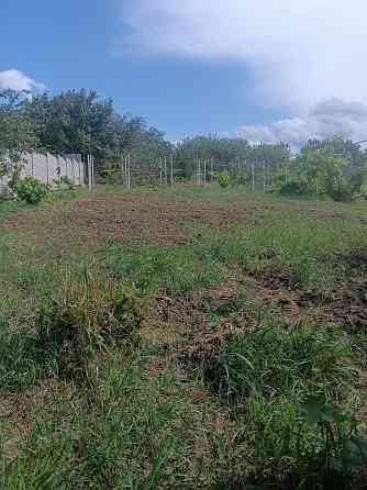 Профессиональная обрезка фруктовых деревьев и кустарников Донецк