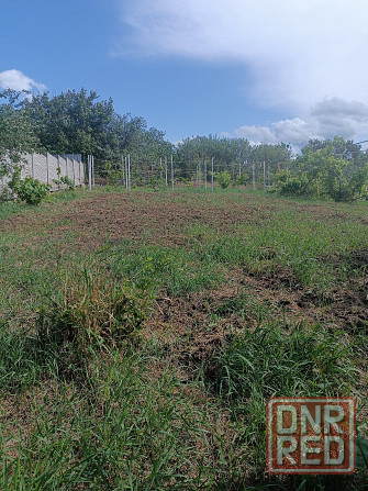 Профессиональная обрезка фруктовых деревьев и кустарников Донецк - изображение 3
