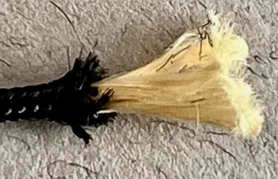 Паракорд диаметром 1,5 мм длина 1000м Донецк