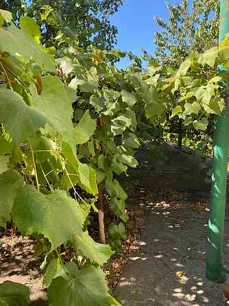 Продам дом в г.Антрацит, пгт.Крепенский Антрацит