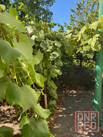 Продам дом в г.Антрацит, пгт.Крепенский Антрацит - изображение 2