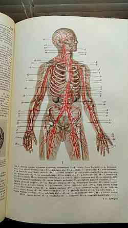 Малая медицинская энциклопедия Донецк