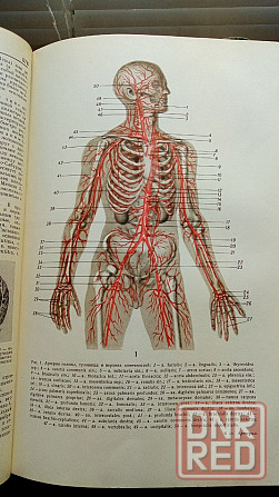 Малая медицинская энциклопедия Донецк - изображение 6