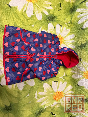 Куртки, пальто, жилетка Донецк - изображение 1