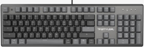 Клавиатура A4tech Fstyler Fs100 Neon механическая черный Usb For Gamer Led (Fs100) (арт-4882) Макеевка