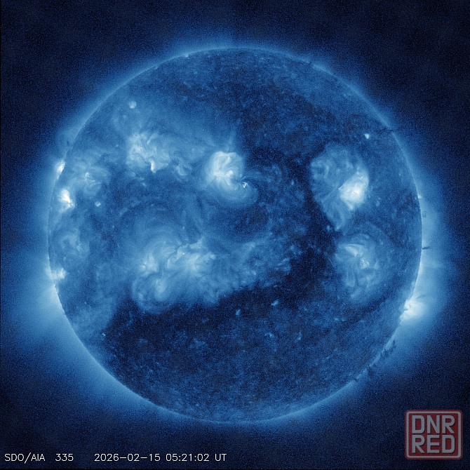 Клоун "Рашпиль" бюджета Донецк - изображение 1