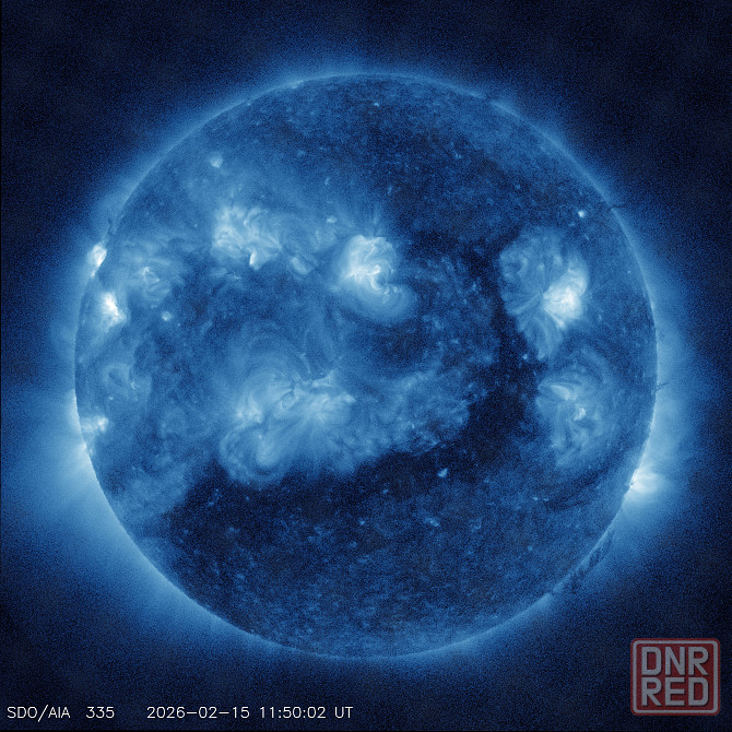 10 миллионов кр. чай дома Донецк - изображение 1