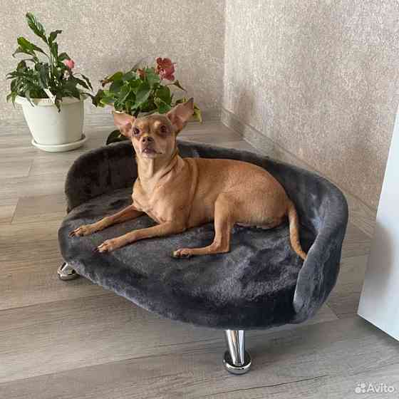 Лежанка диван, для кошек и собак Донецк