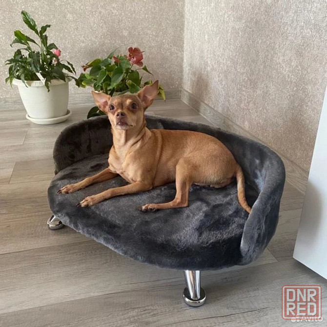 Лежанка диван, для кошек и собак Донецк - изображение 3