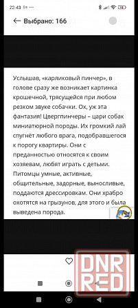 Щенок цвергпинчера 3 5 месяца Донецк - изображение 7