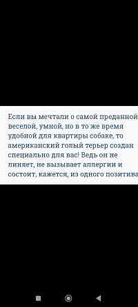 Щенки американского голого терьер мальчик и девочка Донецк