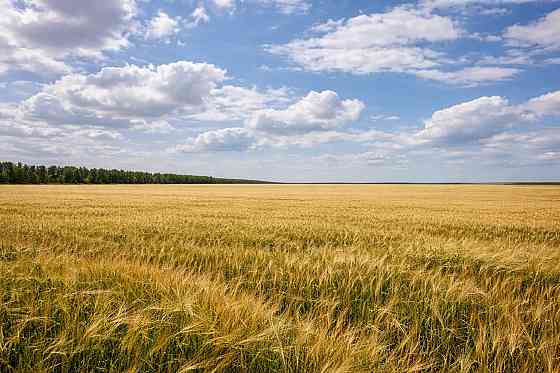 Продается земельный участок в Волновахском районе Волноваха