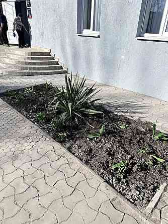 Продается офис Мариуполь