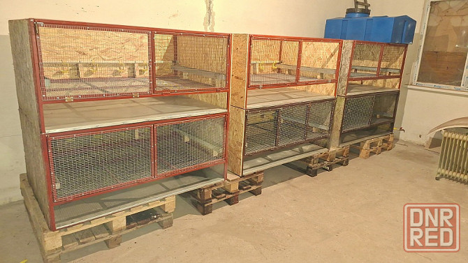 Продам клетки Донецк - изображение 1