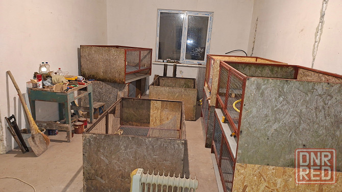 Продам клетки Донецк - изображение 4