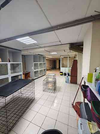 Просторное помещение 200+150кв, Донецк-сити Донецк