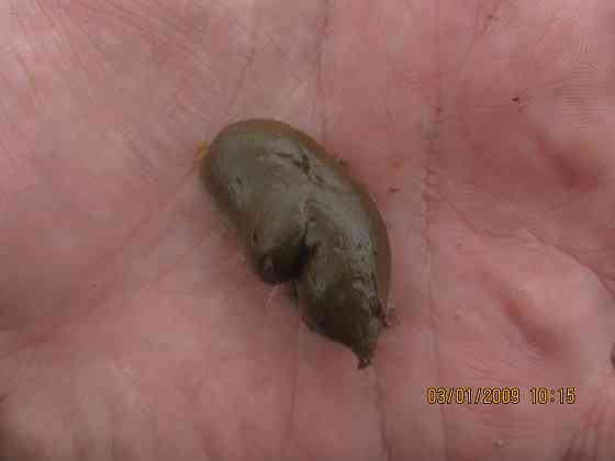 Сфера особого внимания "Ток" Донецк