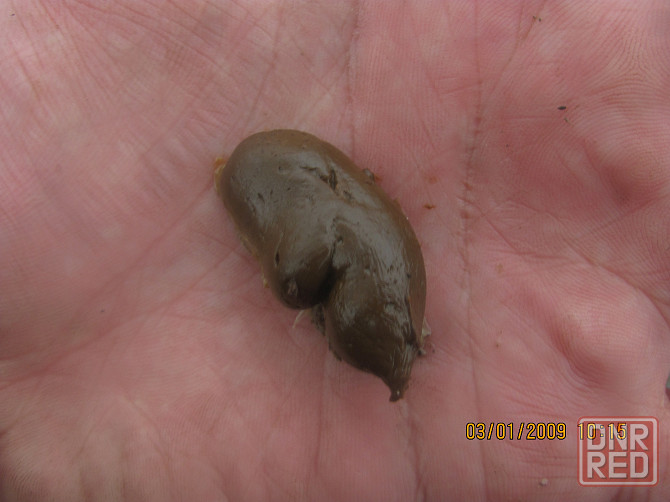 Сфера особого внимания "Ток" Донецк - изображение 1