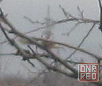 Которые койтейлям са Вишню Донецк - изображение 1