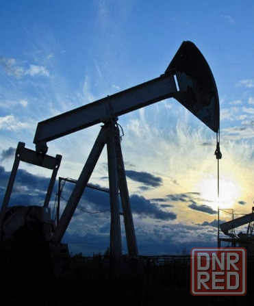 Поэзия жёлтые колоши в Парке Донецк - изображение 1