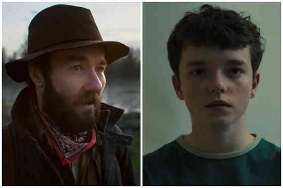 Подскажите с йорком, где коты Донецк