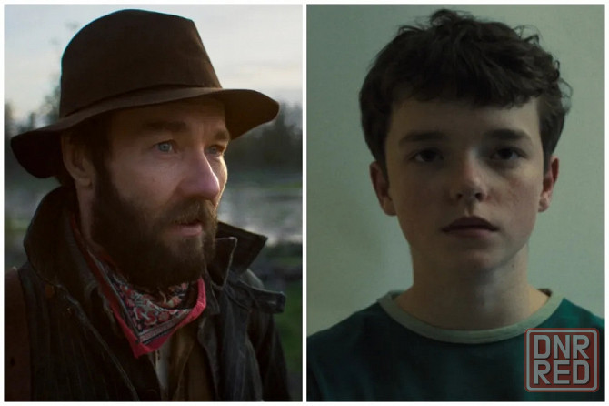 Подскажите с йорком, где коты Донецк - изображение 1