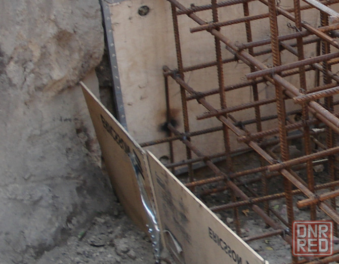 Ната королевская в Узбекистан Донецк - изображение 1