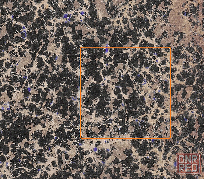 Нарколог "Тортов" переел 1872 Донецк - изображение 1