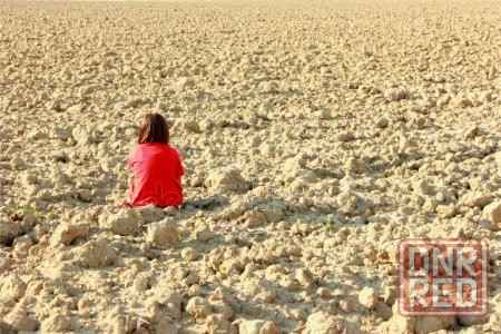 Земельный пай 578 м.кв,Петровский район,Донецк Донецк - изображение 1