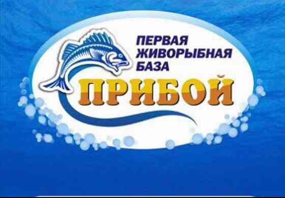 Требуется грузчик Донецк