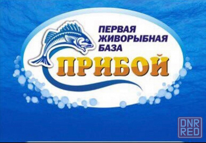 Требуется грузчик Донецк - изображение 1