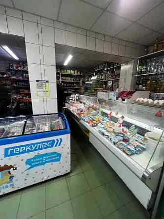 Продажа работающего магазина продовольственных товаров. Харцызск