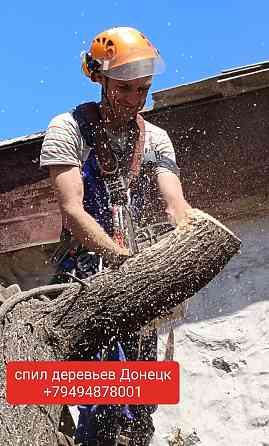 Спил деревьев Донецк