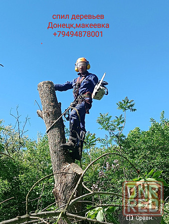 Спил деревьев Донецк - изображение 2