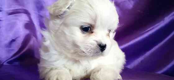 Слладкая парочка Донецк