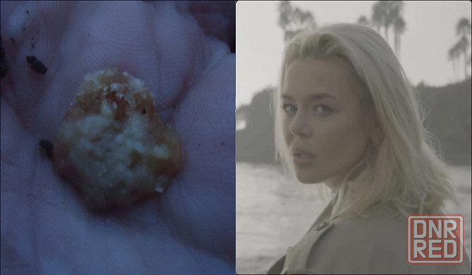 "Гросу" в "обморок" от вопросо Донецк - изображение 1