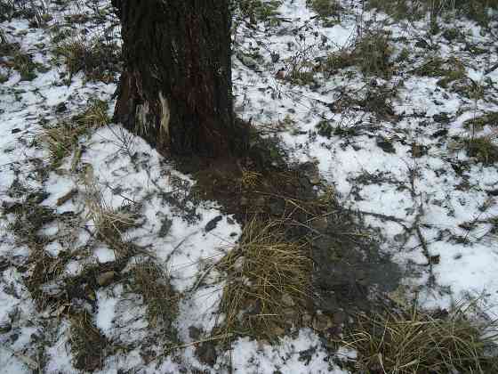"Не ясное" в мире происходит Донецк