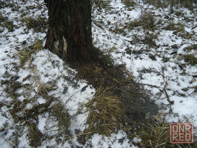 "Не ясное" в мире происходит Донецк - изображение 1