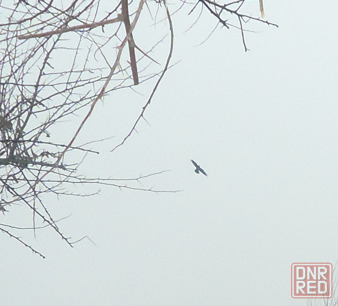 Алко "масло" пролило в центре Донецк - изображение 1