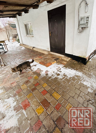 Продажа квартиры на земле г. Макеевка Советский район, Ханженково Макеевка - изображение 9