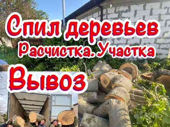 Спил деревьев, расчистка участков, вывоз веток Луганск