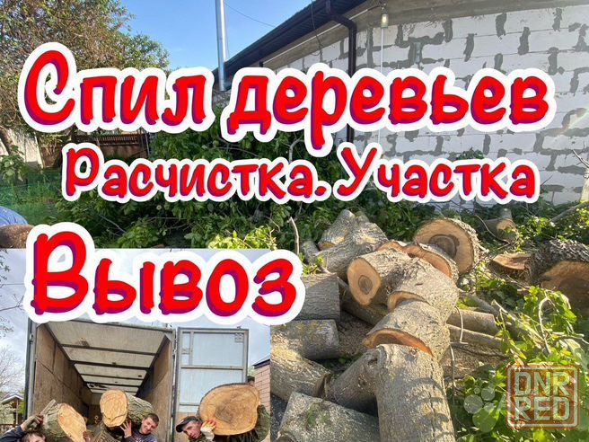 Спил деревьев, расчистка участков, вывоз веток Луганск - изображение 1