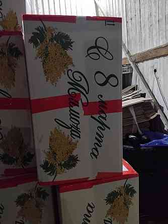 Абхазская мимоза Донецк