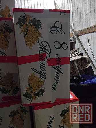 Абхазская мимоза Донецк - изображение 1