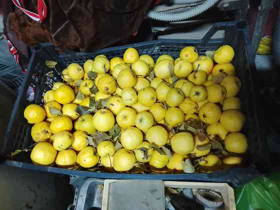 Яблоки Донецк