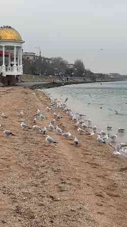 продается земельный участок в снт Бердянск Бердянск
