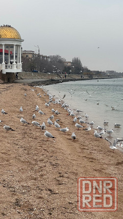 продается земельный участок в снт Бердянск Бердянск - изображение 2