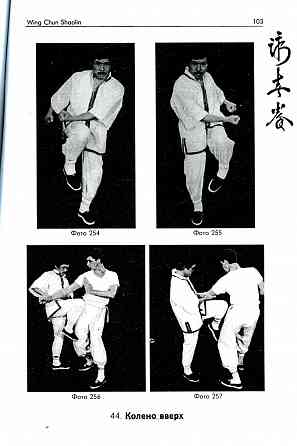 Продам книгу "Винчун Шаолинь - Чан Ван Хиеу" Донецк