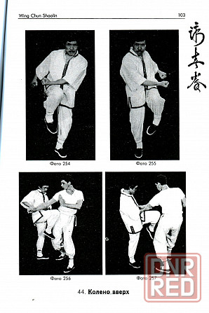 Продам книгу "Винчун Шаолинь - Чан Ван Хиеу" Донецк - изображение 4